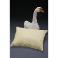 Jack Brown - 1 Piece 65 x 35 cm Premium Duck Feather Pillow - White ***BRAND NEW***