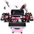 Pink Professional Makeup Cosmetics Trolley Case (4 in 1)