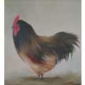 Painting of a Chicken by B. Hertzberger