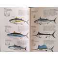 Common Sea Fishes