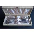 Vintage Silver Plated Salad/Fruit Servers (Made in England,)
