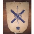Vintage Navy Badge