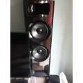 Sony Mgongo home theatre system