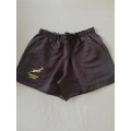 Springbok Sevens Shorts Size L