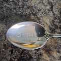 Remarkable Buffalo City 1905 Silver teaspoon