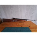 Air rifle crosman 1760 co2 rifle .177 will include silensor slip on and picatiny clip on mount