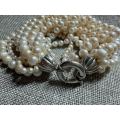 Pearl bracelet & silver clasp