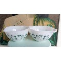 Vintage Duo Pyrex Tableware Bowl with Clover leaf Shamrock design from 1960