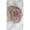 Fossilized Piece of Tree/Wood - ideal for a decor piece or sample to teach students!