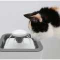 Automatic pet water fountain