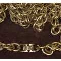 Gold Tone Chunky Chain with Beautiful Links