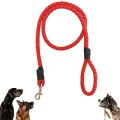 Pet leash