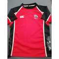 Cats Jersey Size L no 1