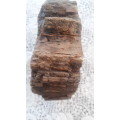 Fossilized Piece of Tree/Wood - ideal for a decor piece or sample to teach students!