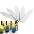 100PCS Plant Tags Plant Pot Markers Plastic Garden Stake Tags Nursery Labels Garden Supplies Address