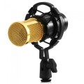 KICCY Professional Studio Condenser Sound Recording Microphone w/ Plastic Shock Mount Kit for Record
