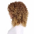 Short Curly Human Hair Wigs Brazilian Wig For Women Non Remy Hair Wig Golden 14inches