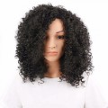 Curly Human Hair Wig 360 Lace Frontal Wig Short Deep Curly Hair Pre Plucked With Baby Hair Natural B