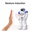 DODOELEPHANT Robot USB Charging Dancing Gesture Action Figure Control RC Robot Toy for Boys Children