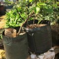 Potato Planting PE Bags Cultivation Garden Pots Planters Vegetable Planting Bags Grow Bags Farm Home