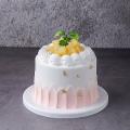 6inch Silicone Cake Model Embryo Birthday Cake Window Display (f)
