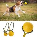 Pet Dog Training Toy Ball Chew Bite Resistant Toy with Rope(9cm)