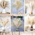 Dried Pampas Grass 65pcs, White Pampas Grass Decor 17in, Dry Flowers