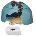 Reptile Hides Humidification Cave Help Your Pets Shedding, Blue