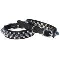Spiked Studded Dog Collar 1 Inch Wide for X-small Breeds and Puppies