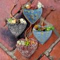 Heart-shaped Succulent Resin Flower Pot Planting Succulent Pots A