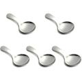 Stainless Steel Spoons with Handle for Ice Cream, (silver, 5 Pcs)