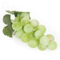 2x 5 Inch Artificial Fruit Grape Cluster Deco Diy Home Store Green