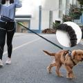 Dog Leash with Waist Bag Reflective Jogging Dogs Traction-d