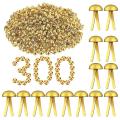 300 Pieces Of Paper Fasteners Round Headgear Sturdy Fasteners Gold