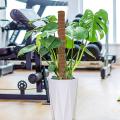 6pcs Indoor Plants Support Pole Coir Moss Stick Garden Gadget