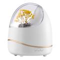 Huaying Humidifier 400ml Essential Oil Diffuser for Home Us Plug A