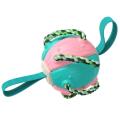 Outdoor Training Dog Toys Football Bite Resistance Toy -blue+pink