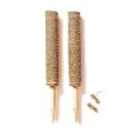2 Coconut Palm Sticks-support The Forward Growth Of Indoor Plants