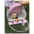 Portable Guinea Pig Carrier Hamster Cage Bird Squirrel Carrier Pink