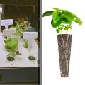 Plant Grow Sponges Garden for Hydroponic Garden System Seed
