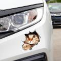 3d Cat Car Stickers Decal / Sticker for Window, Truck, Car