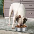 Dog Bowls with Silicone Base, Dog Food Bowls, (2 Pack 18 Cm, Black)
