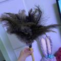 Retractable Feather Duster for Ostrich Household Car Cleaning Medium