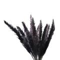 30pcs Black Pampas Grass, 17 Inch Natural Dried Fluffy Small Stems
