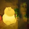 Hippo Colour Changing Led Silicone Lights with Remote for Childrens