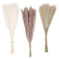 60pcs, Natural Dried Pampas Grass Decor for Flower Boho Wedding Decor