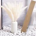 21.65 Inch Dried Pampas Grass 30 Pcs, Natural Home Decor & Perfect
