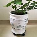 2pcs 11 Inch Plant Flower Heavy Duty Copper Plant Stand with Wheels