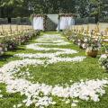 100 Pcs Artificial Flower Petal for Wedding Party Decoration, White