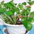 Automatic Irrigation Diy Kit Self-watering System, for Garden Plants